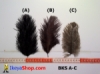 bulu kasuari kecil BKS A-C - feather medium.jpg